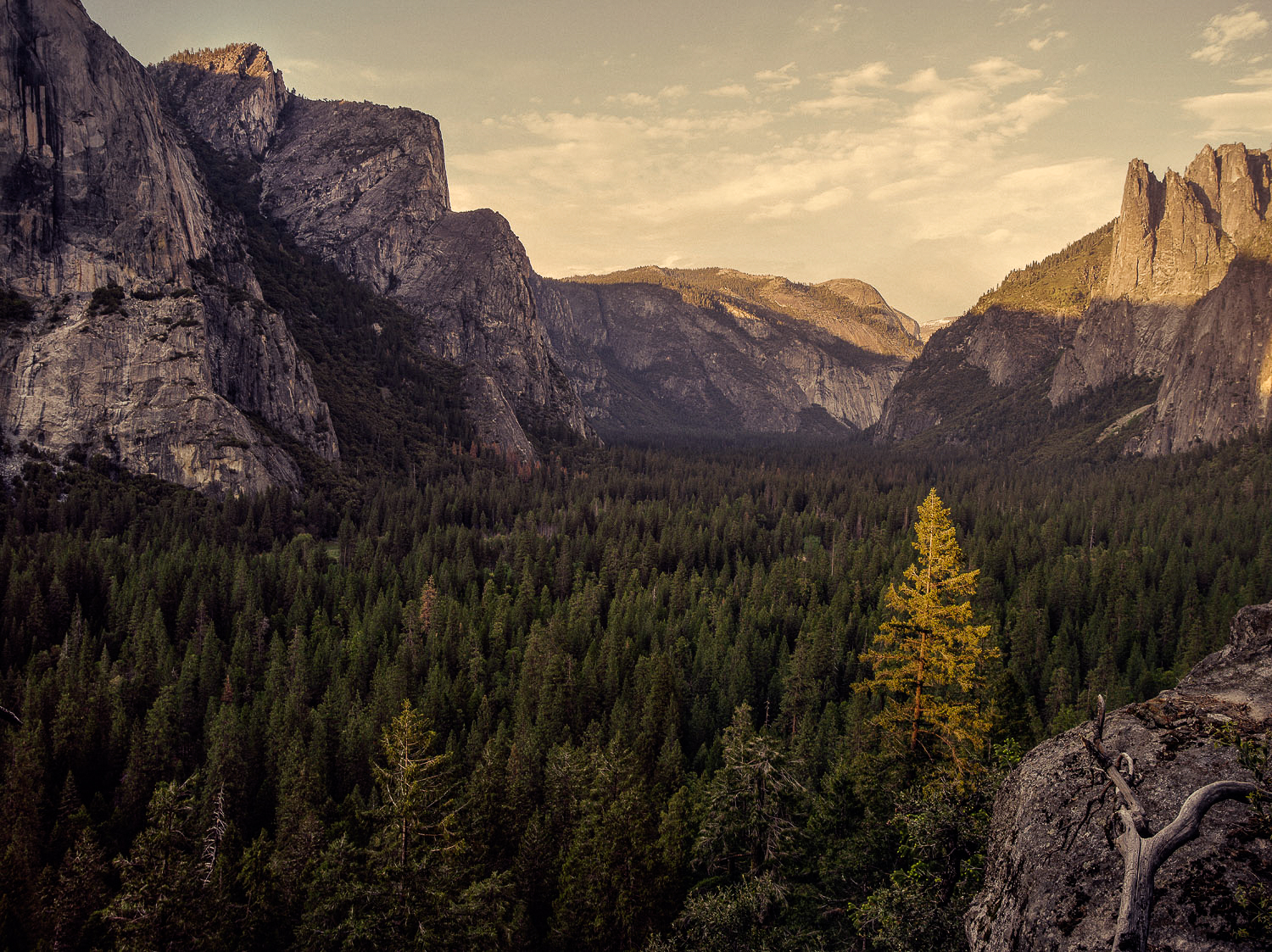 Yosemite Park